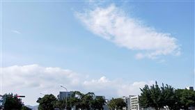 好天氣、大太陽、出遊(圖/記者邱榮吉攝影)