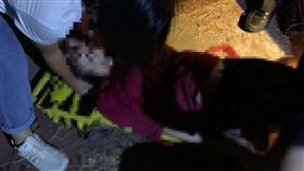 女子,丈夫,安南區,台南,嘉南大圳