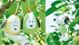 威秀,史奴比,柚見花生