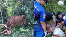 俄羅斯,俄男,性侵,母牛,泰國,徵召,遣返,烏俄戰爭（圖／翻攝X）