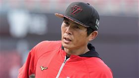 ▲味全龍總教練葉君璋。（圖／味全龍提供）