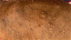 金門牛場檢出牛結節疹金門縣金沙鎮1肉牛場檢出牛結節疹，農業部防檢署及金門縣動植物防疫所已立即撲殺、銷毀7頭發病牛隻，對此場其餘牛隻執行疫苗補強注射，也完成案例場周邊半徑3公里內31場養牛場臨床檢查，目前未發現可疑案例。（農業部動植物防疫檢疫署高雄分署提供）中央社記者吳欣紜傳真  113年8月30日