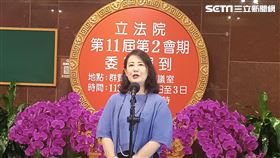 民進黨立法院黨團幹事長吳思瑤。（圖／記者盧素梅攝影)