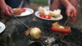 烤肉，洋蔥，香腸，錄影，野炊（圖／翻攝自pixabay）
