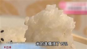 日本鬧「米荒」？白米庫存量17年最低！超市貨架空、「限購令」又漲價 來源：三立新聞台