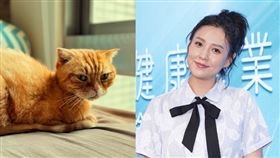 說明 朱芯儀。（圖／翻攝自臉書）