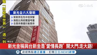 新光金稱「愛情長跑」！與台新合意併購