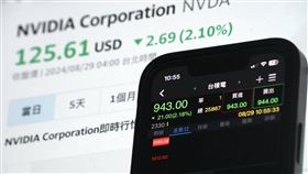 輝達營收展望遜於樂觀預期  台積電早盤跌逾2%AI晶片龍頭輝達（NVIDIA）第3季財測不如部分分析師的樂觀預估，盤後股價下挫逾8%，拖累輝達概念股及人工智慧（AI）族群走勢。台積電、鴻海29日早盤皆下跌超過2%，失守5日線。中央社記者徐肇昌攝  113年8月29日