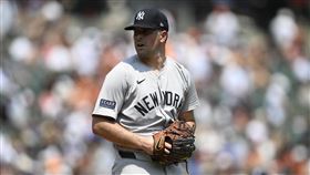 ▲羅登（Carlos Rodon）飆出本季新高11次三振。（圖／美聯社／達志影像）