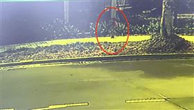 男童,新竹市,出走,馬路,國小（圖／翻攝畫面）