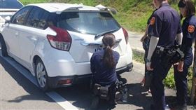 偽造車牌件數激增。（圖／新竹市監理站提供）