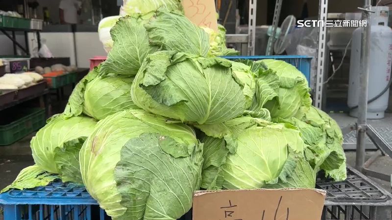 菜王單顆破百元　農糧署估9月中下旬回穩