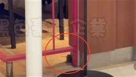 食安出包！台中某泰式餐廳「老鼠趴趴走」