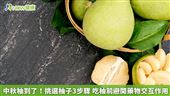 挑柚子3步驟　吃柚前應避開藥物交互作用