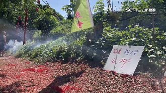 柯遭收押禁見！社子島居民「放鞭炮」慶祝