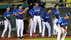 ▲富邦悍將場邊球員興奮助威。（圖／富邦悍將提供）