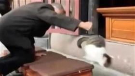 文殊院,四川,拜佛貓,香客