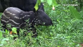 莉姆路見.客1800