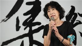 民眾黨挺柯文哲首場集會，陳佩琪上台。（圖／記者鄭孟晃攝影）