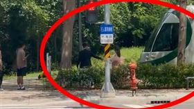 新人,婚紗,闖入,開罰,輕軌,軌道區