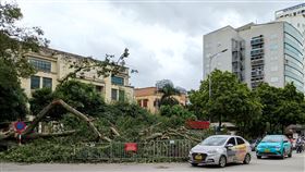 颱風摩羯致越南25死颱風摩羯已造成越南25人死亡，他們大多是被土石流掩埋或遭倒下的樹木壓死。首都河內市有近2.5萬棵樹被風吹倒，至今未能處理完畢，導致市區交通混亂。中央社記者陳家倫河內攝  113年9月9日