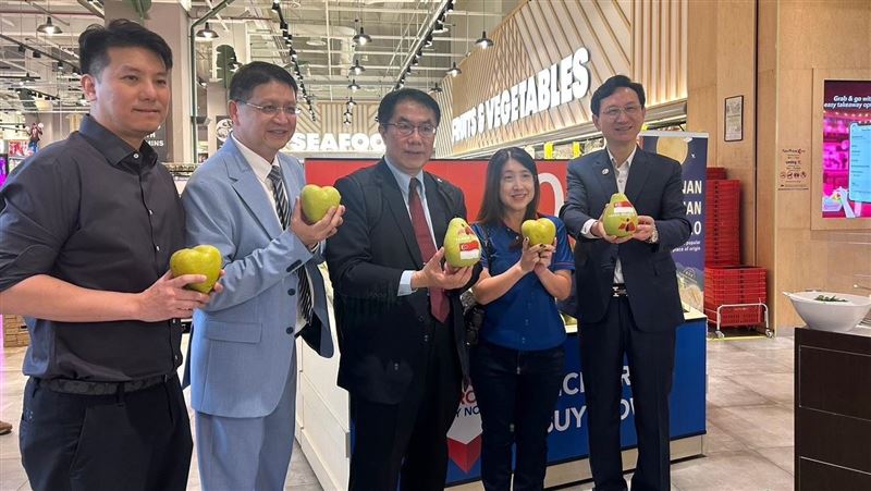 文旦旋風席捲新加坡！期待「柚」見熱潮