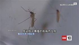 科學團隊破解蚊子吸血機制！關鍵全在「它」（圖／CNN）
