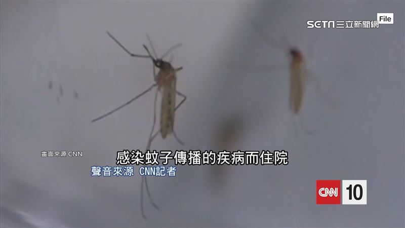 蚊子「吸血機制」被破解！4招不被叮咬