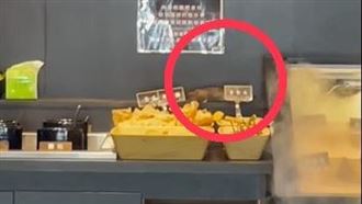 台中火鍋店驚見老鼠巡場　民眾直擊超噁