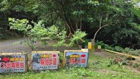泰籍女移工遭砍殺後倒臥大武崙山區邊坡亡，檢方偵結將女雇主依殺人罪起訴。（圖／翻攝畫面）