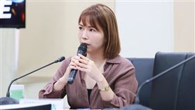 民眾黨黨團主任陳智菡。(圖/民眾黨團提供)