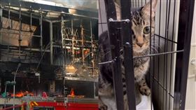 外界質疑貓被關在鐵籠裡無法逃生，慘成「鐵棺材」。（圖／翻攝@yi_hsuan0602IG）
