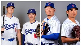 ▲大谷翔平、山本由伸、鈴木誠也和今永昇太4位日籍球員同場先發，是大聯盟史上第2次。（圖／美聯社／達志影像）