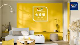 Dulux 2025年度趨勢色「金盞黃True JoyTM」與你一起勇往直前！（業配勿用）