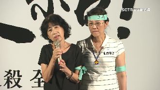 陳佩琪分2階段存619萬　時間與京案爆巧合