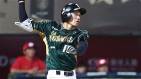 ▲台鋼雄鷹游擊手林家鋐。（圖／台鋼雄鷹提供）