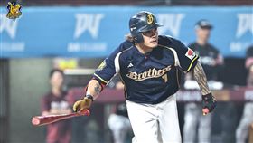 ▲中信兄弟張志豪。（圖／中信兄弟提供）