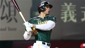 ▲台鋼雄鷹魔鷹。（圖／台鋼雄鷹提供）