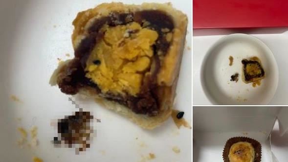 名店蛋黃酥有蟑螂屍體　網友挨告結果曝
