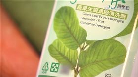 廢棄芭樂枝葉循環再利用 研發蔬果生質清洗劑 