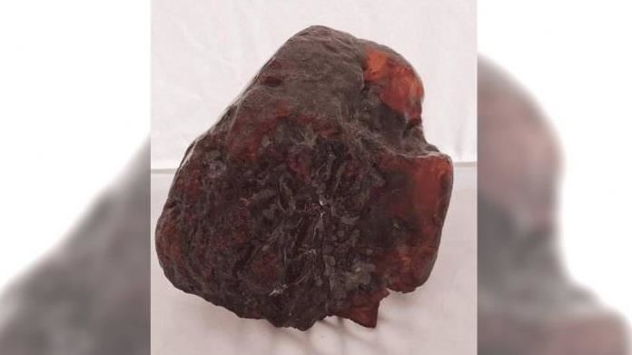 她撿怪石當門擋　竟是「3800萬年前琥珀」