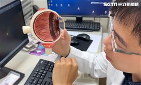 視力，眼睛模型，眼球(圖/翻攝畫面)