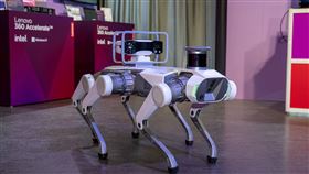 （圖／業者提供）
