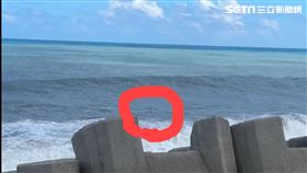 花蓮洪姓少年在新城海邊玩水被大浪捲走，哥哥跳下海救人也游到沒力。（圖／翻攝畫面）