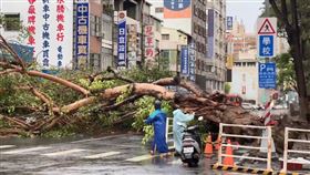 路樹倒塌,高雄,苓雅區,