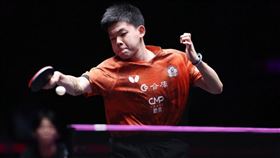 台灣桌球好手高承睿。（圖／翻攝自WTT官網）
