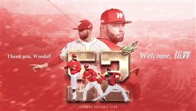 ▲味全龍伍鐸累積中職9個球季，明年起不受洋將限制。（圖／味全龍提供）