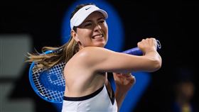 莎拉波娃（Maria Sharapova）（圖／翻攝自Maria Sharapova臉書）