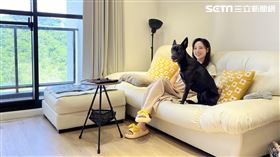 勇兔新家。（圖／記者杜沛學攝影）