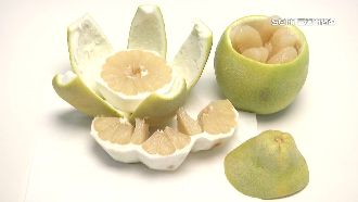 吃柚子間隔2小時就能用藥？醫：最好等3天